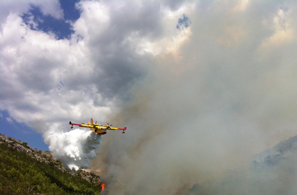 2024-07-15-pp-sezona-ilustracija